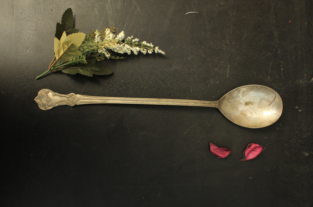Silver Plated Brass Carved Serving Spoon - Style It by Hanika